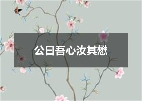 公曰吾心汝其懋