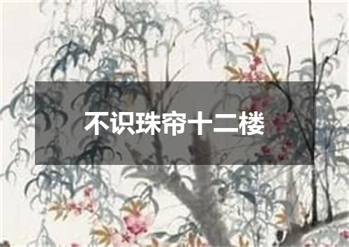不识珠帘十二楼