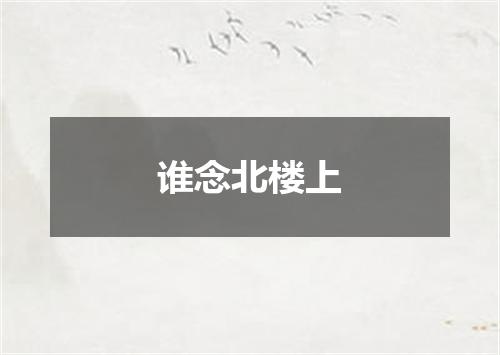 谁念北楼上