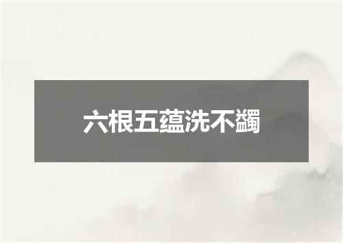 六根五蕴洗不蠲