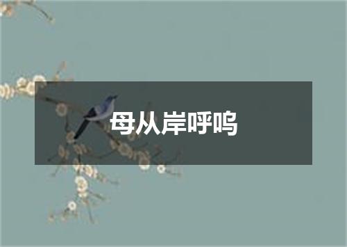 母从岸呼呜