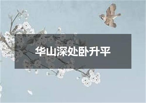 华山深处卧升平
