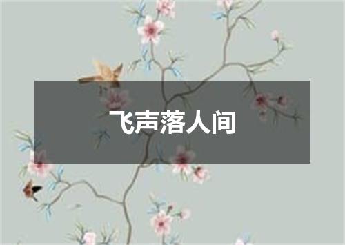 飞声落人间