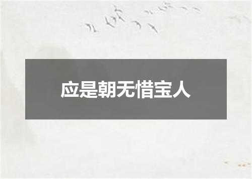 应是朝无惜宝人