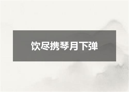 饮尽携琴月下弹