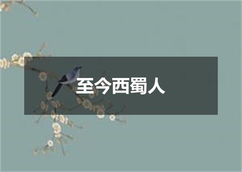 至今西蜀人