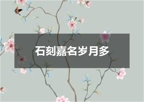 石刻嘉名岁月多