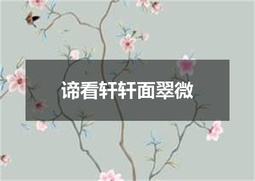谛看轩轩面翠微