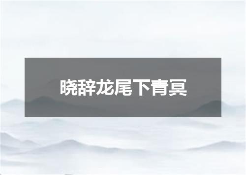 晓辞龙尾下青冥