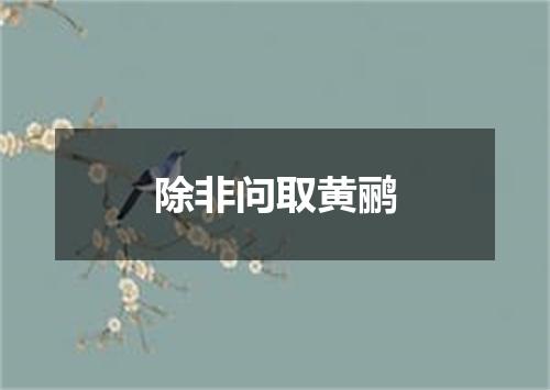除非问取黄鹂