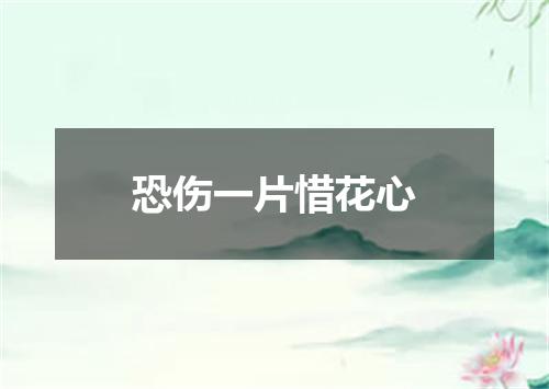 恐伤一片惜花心