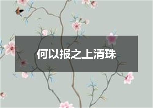 何以报之上清珠