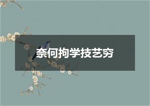 奈何拘学技艺穷