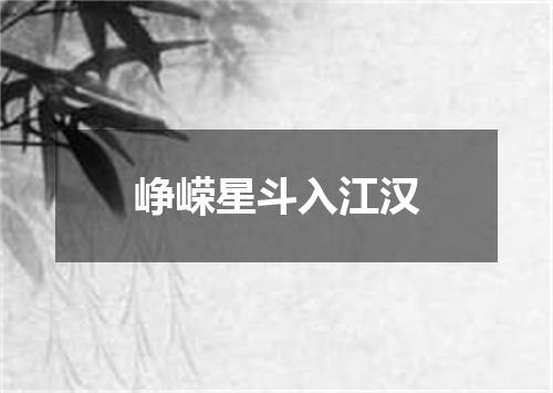 峥嵘星斗入江汉