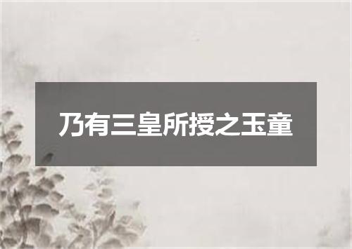 乃有三皇所授之玉童