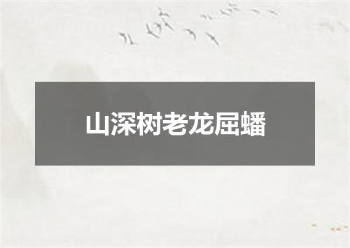 山深树老龙屈蟠
