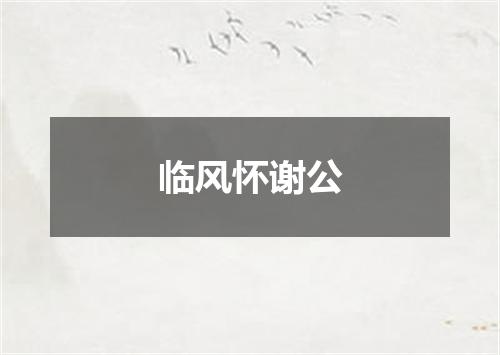临风怀谢公