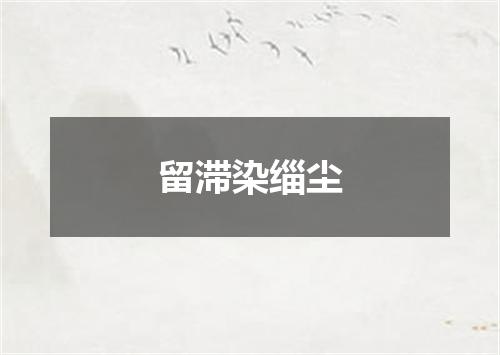 留滞染缁尘