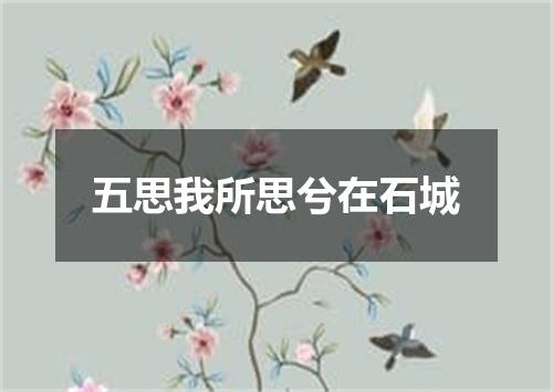 五思我所思兮在石城