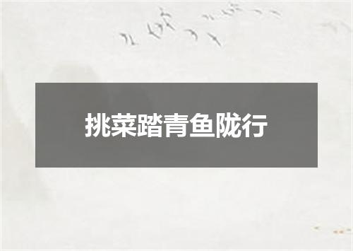 挑菜踏青鱼陇行