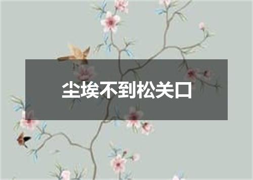 尘埃不到松关口