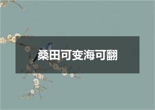 桑田可变海可翻