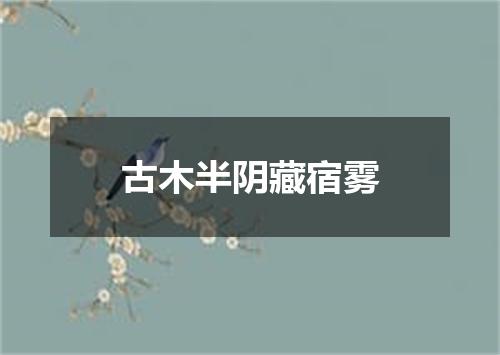 古木半阴藏宿雾