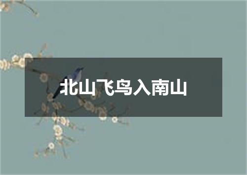 北山飞鸟入南山