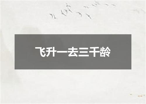 飞升一去三千龄
