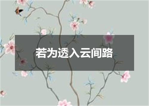 若为透入云间路