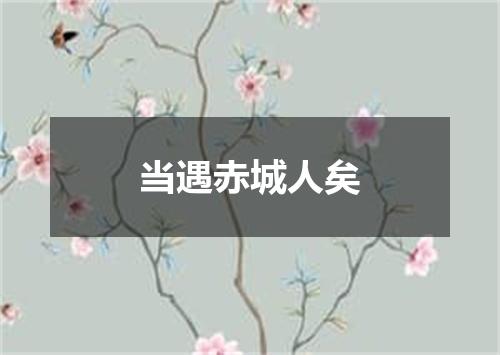 当遇赤城人矣