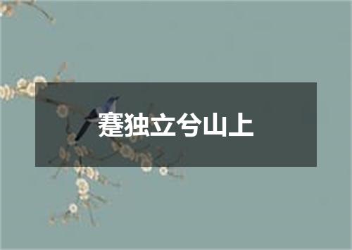 蹇独立兮山上