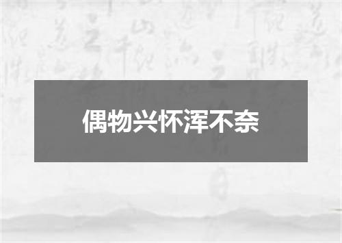 偶物兴怀浑不奈