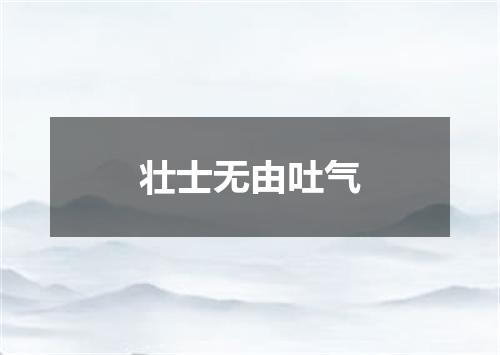 壮士无由吐气