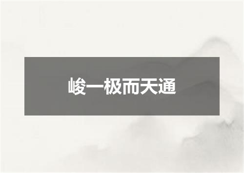 峻一极而天通