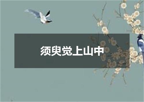 须臾觉上山中