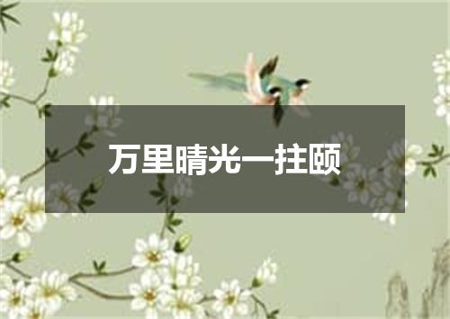 万里晴光一拄颐