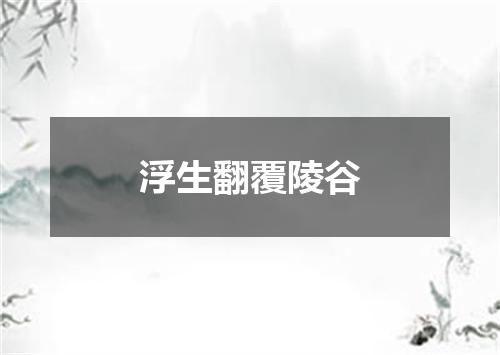 浮生翻覆陵谷