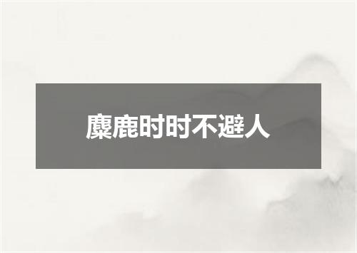 麋鹿时时不避人