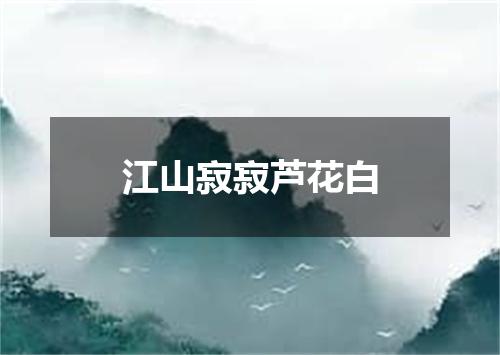 江山寂寂芦花白
