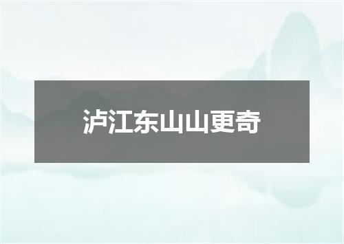 泸江东山山更奇