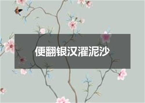 便翻银汉濯泥沙