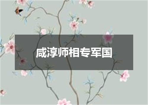 咸淳师相专军国