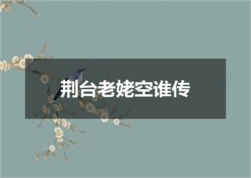 荆台老姥空谁传