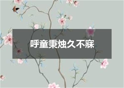 呼童秉烛久不寐