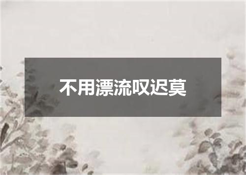 不用漂流叹迟莫