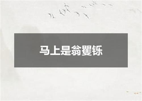 马上是翁矍铄