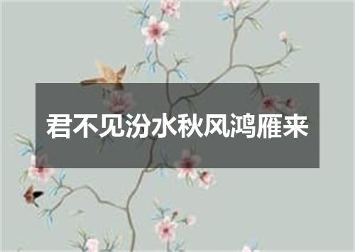 君不见汾水秋风鸿雁来