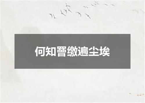 何知罾缴遍尘埃
