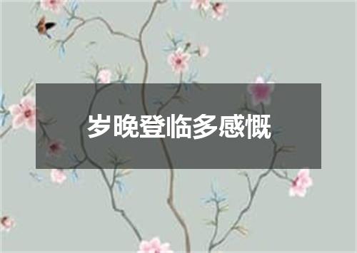 岁晚登临多感慨